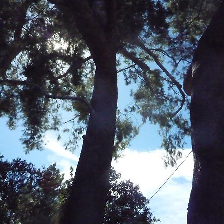 Woodland Hills Calabasas Guesthouses Los Angeles Kültér fotó